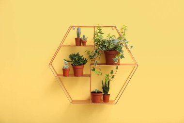 Sarı duvarda yeşil çiçekli raflar