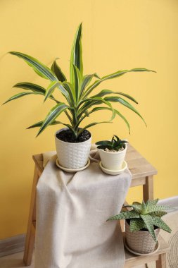 Sarı duvarın yanında yeşil çiçekli merdiven var.