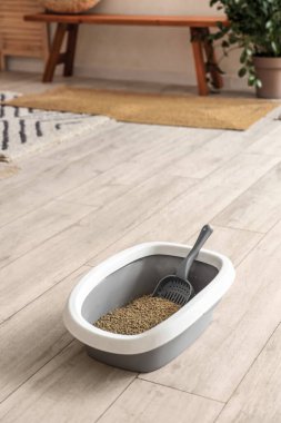 Odadaki kedi için çöp kutusu.