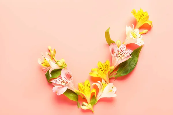 Check Mark Made Alstroemeria Flowers Pink Background — Stock Photo, Image