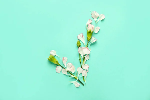 Check Mark Made Flowers Turquoise Background — Stock Photo, Image