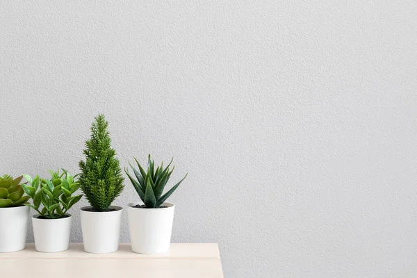 Artificial Plants Table Light Wall — Stock Photo, Image