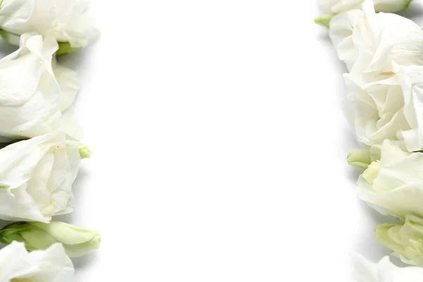 Composition Beautiful Eustoma Flowers White Background Closeup — Stock Photo, Image