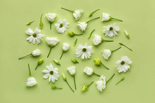 Samenstelling Met Prachtige Eustoma Kamille Bloemen Groene Achtergrond — Stockfoto