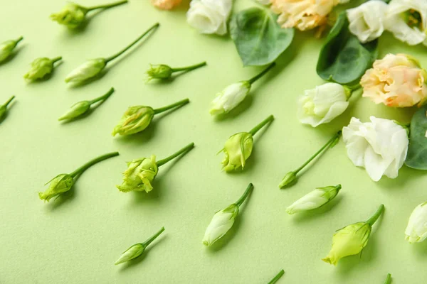 Composition Beautiful Eustoma Flowers Green Background — Stock Photo, Image
