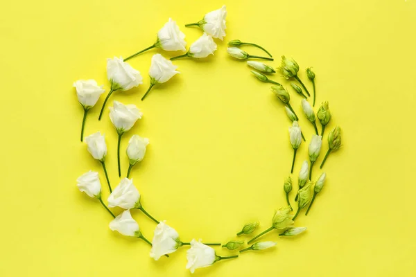 Keret Készült Fehér Eustoma Virágok Sárga Alapon — Stock Fotó