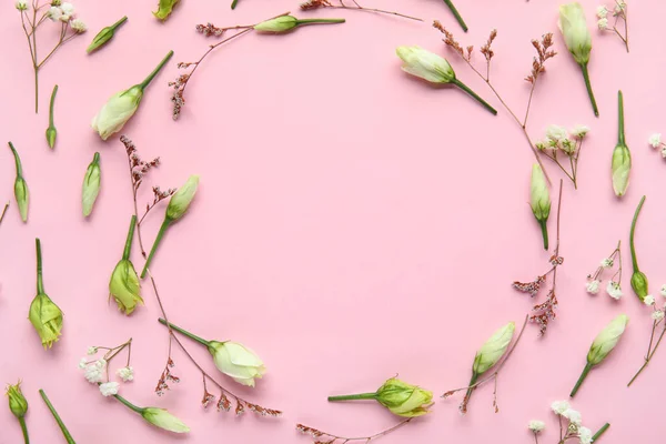 Keret Készült Gyönyörű Virágok Rózsaszín Háttér — Stock Fotó