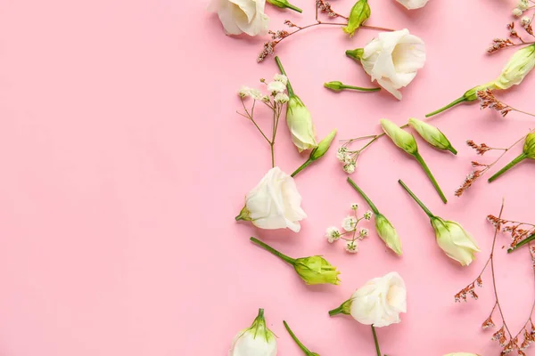 Composição Com Flores Diferentes Fundo Rosa — Fotografia de Stock