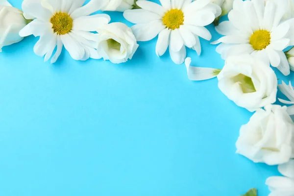 stock image Composition with beautiful chamomile and eustoma flowers on color background, closeup