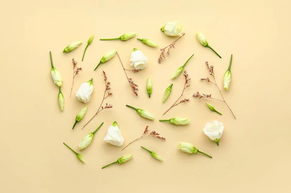 Samenstelling Met Witte Eustoma Gedroogde Bloemen Kleur Achtergrond — Stockfoto