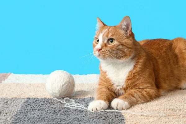 Funny Red Cat Ball Thread Blue Background — Stock Photo, Image