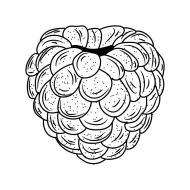 beyaz arkaplanda olgun ahududu