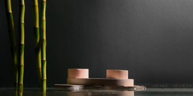 Koyu arkaplanda yeşil bambu dalları olan boş podyumlar 