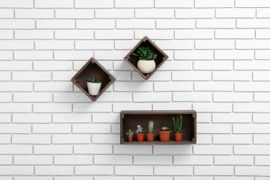 Beyaz tuğla duvarda sulu raflar