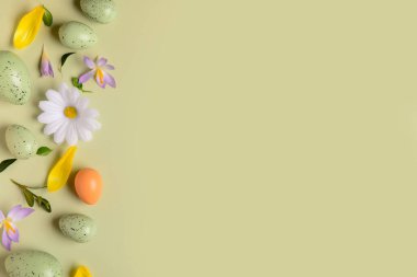 Yeşil arka planda Paskalya yumurtaları ve bahar çiçekleriyle kompozisyon