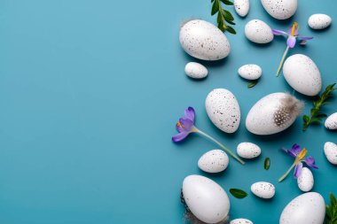 Paskalya yumurtaları, güzel kır çiçekleri ve mavi arka planda bitki yaprakları.