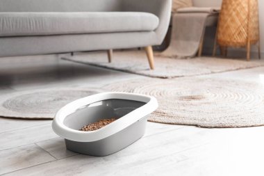 Odadaki kedi için çöp kutusu.