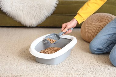 Ev sahibi kedi kumu kutusunu temizliyor.