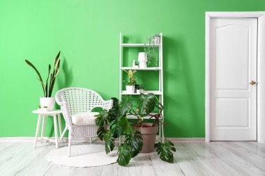 Koltuğu, raf ünitesi ve yeşil duvarın yanındaki ev bitkileriyle modern odanın içinde.