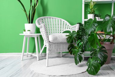 Koltuğu, raf ünitesi ve yeşil duvarın yanındaki ev bitkileriyle modern odanın içinde.