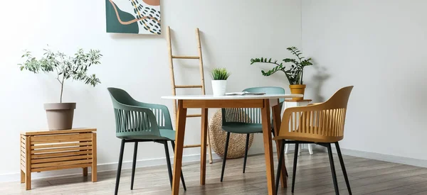 Stylish Interior Dining Room Modern Furniture Houseplants — Stock Photo, Image