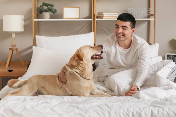 Young Man Cute Labrador Dog Sitting Bedroom — Stock Photo, Image