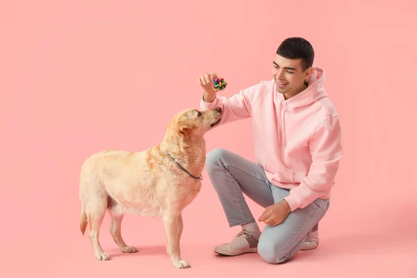 Jovem Com Brinquedo Bonito Cão Labrador Fundo Rosa — Fotografia de Stock
