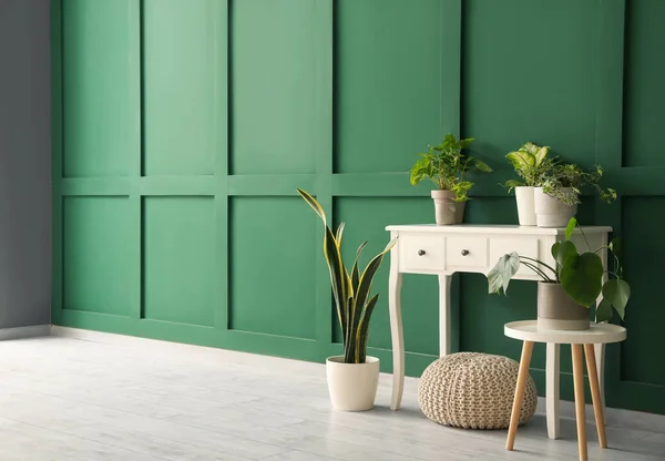 Tables Houseplants Pouf Green Wall Room — Stock Photo, Image