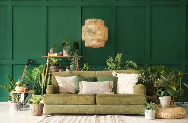 Interior of living room with green sofa and houseplants