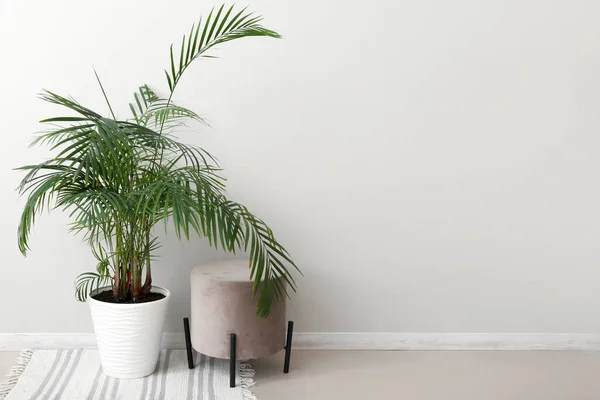 Palm Tree Pouf Light Wall Room — Stock Photo, Image