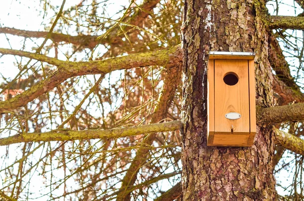 Vista Casa Pássaro Árvore — Fotografia de Stock