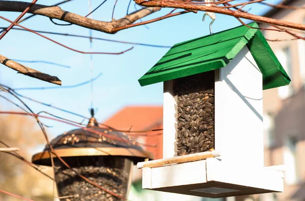 Veduta Della Casa Degli Uccelli Con Semi Nel Villaggio Primo — Foto Stock