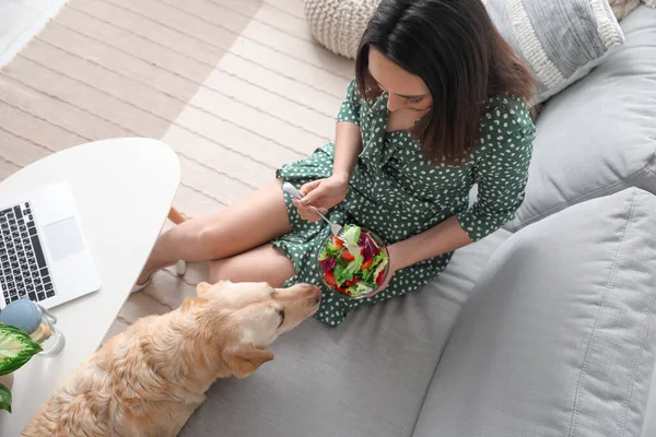 Young woman with bowl of vegetable salad and Labrador dog at home