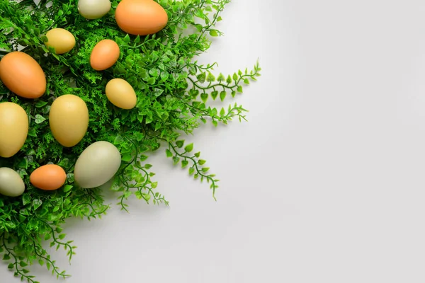 stock image Easter eggs and plant leaves on white background