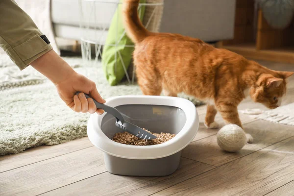 Owner Cleaning Cat Litter Box Home — Stock Photo, Image