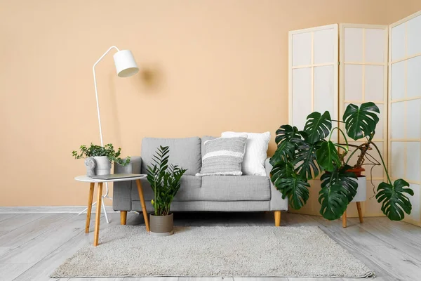 Interior Habitación Con Sofá Plantas Interior Verdes —  Fotos de Stock