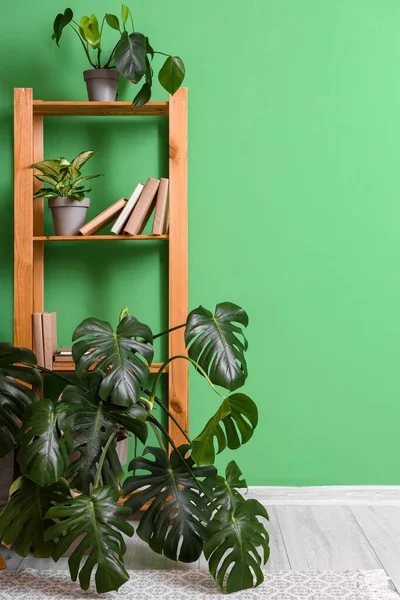 Intérieur Chambre Moderne Avec Étagère Plantes Intérieur Près Mur Vert — Photo
