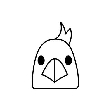 Beyaz arka planda papağan başı