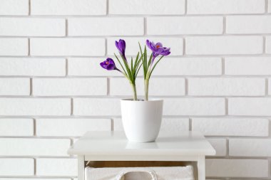 Beyaz tuğla duvarın yanındaki sehpanın üzerinde güzel çiçek saksısı var.