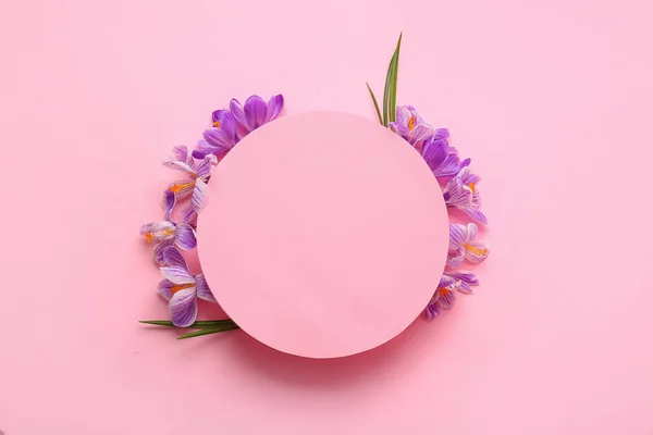 Composition Blank Card Saffron Flowers Pink Background — Stock Photo, Image