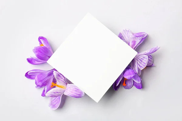 Samenstelling Met Blanco Kaart Saffraanbloemen Witte Achtergrond — Stockfoto