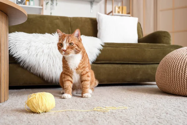 Evde Iplik Yumağıyla Komik Kırmızı Kedi — Stok fotoğraf