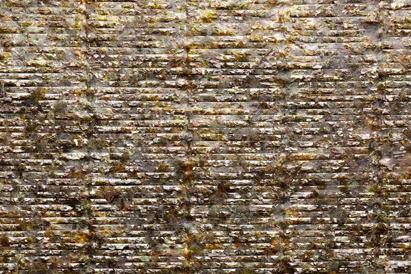 Natural Nori Sheet Background Closeup — Stock Photo, Image