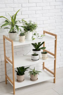 Beyaz tuğla duvarın yanında yeşil çiçekli raf ünitesi
