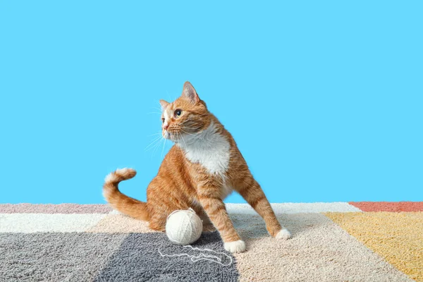 Funny Red Cat Playing Blue Background — Stock Photo, Image
