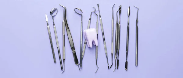 Zubařské Nástroje Model Zubu Šeříkovém Pozadí — Stock fotografie