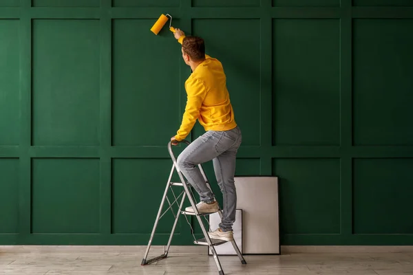 Young Man Roller Ladder Painting Green Wall — стоковое фото