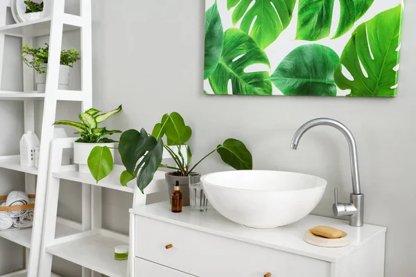 Chest Drawers Sink Houseplant Light Bathroom — Stock Photo, Image