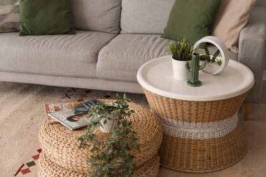 Çiçekler, dergiler, hasır puf ve gri kanepenin yanındaki masa.