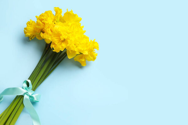 Beautiful narcissus flowers with blue ribbon on color background
